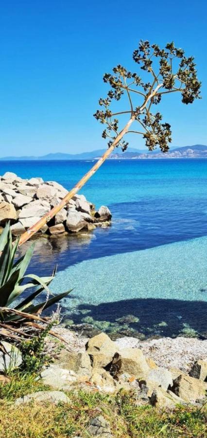 T2 D'Exception 100M Plage Terrasse Vue Mer Et Montagnes Propriano  Luaran gambar