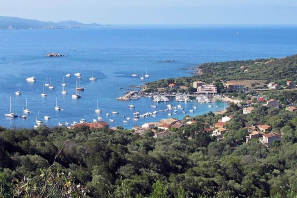 T2 D'Exception 100M Plage Terrasse Vue Mer Et Montagnes Propriano  Luaran gambar